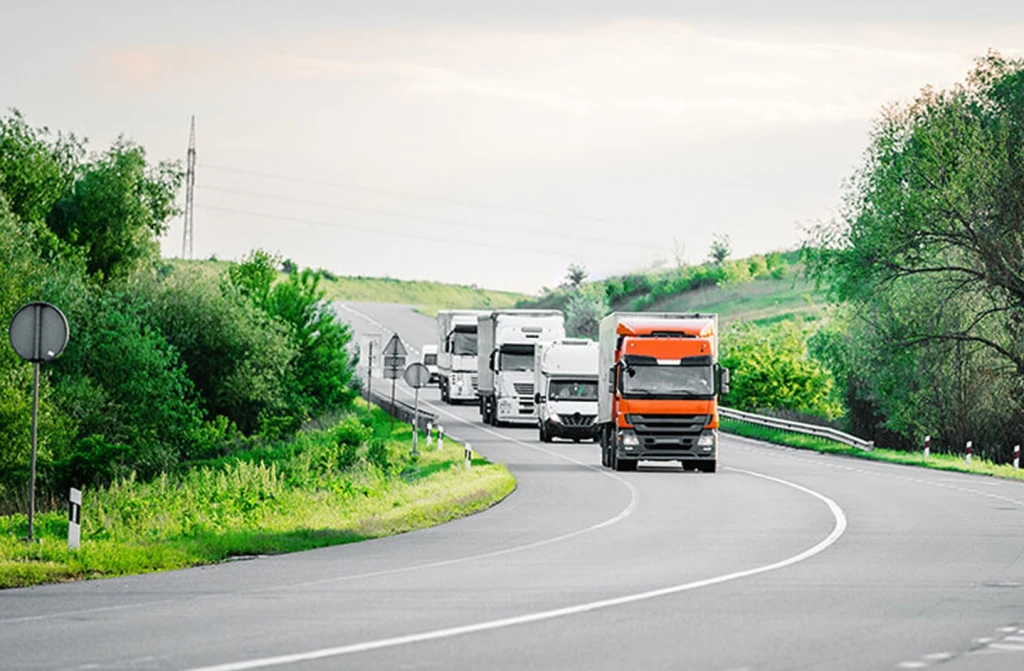 Land Transportation